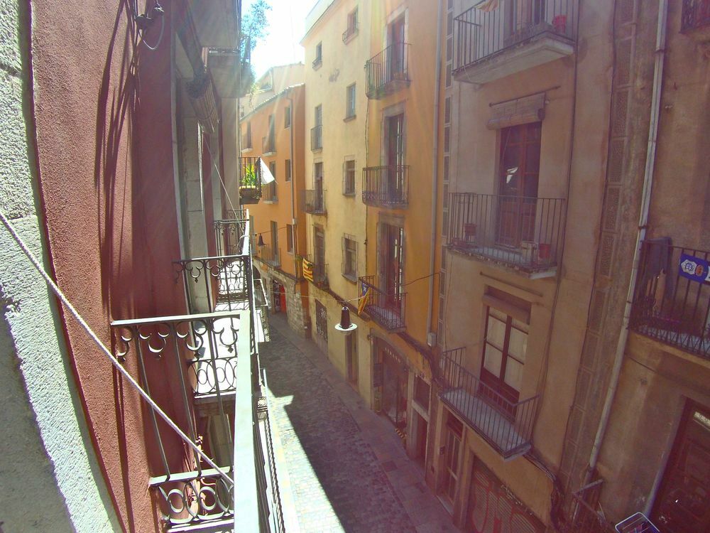 La Lleona Apartment 赫罗纳 外观 照片